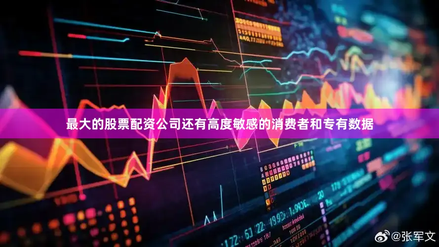 最大的股票配资公司还有高度敏感的消费者和专有数据