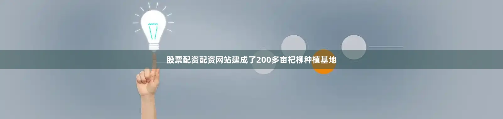 股票配资配资网站建成了200多亩杞柳种植基地