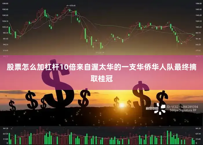 股票怎么加杠杆10倍来自渥太华的一支华侨华人队最终摘取桂冠