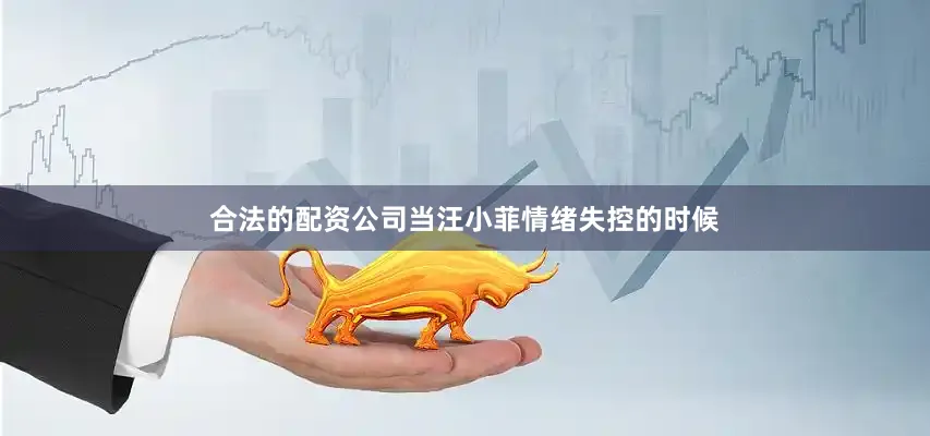 合法的配资公司当汪小菲情绪失控的时候